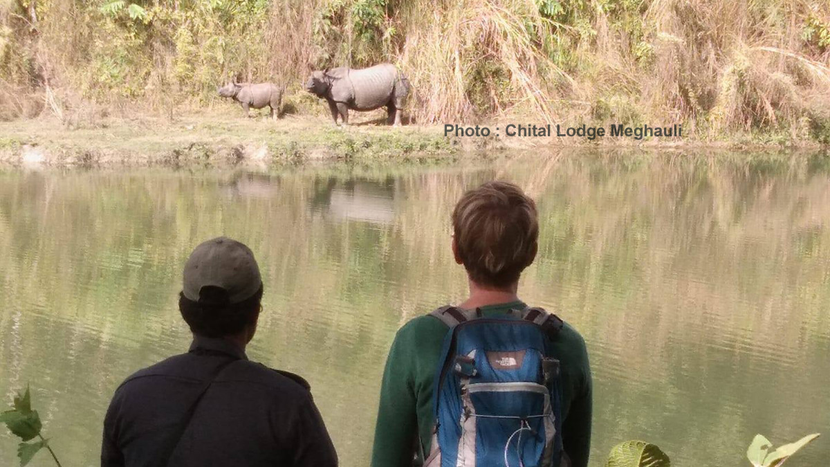 Meghauli Wildlife and Jungle Safari Tour